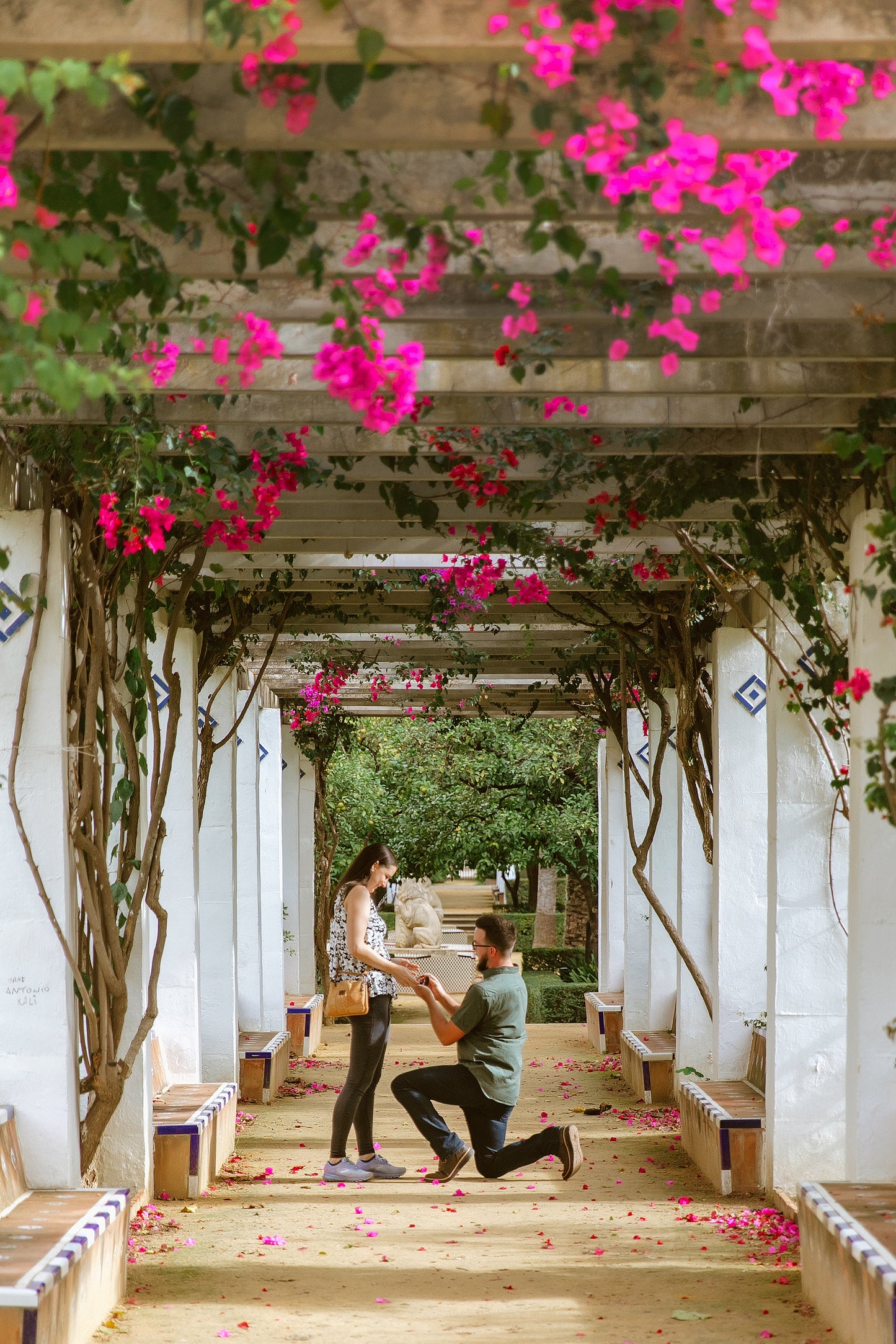 SURPRISE PROPOSAL PHOTO SESSION