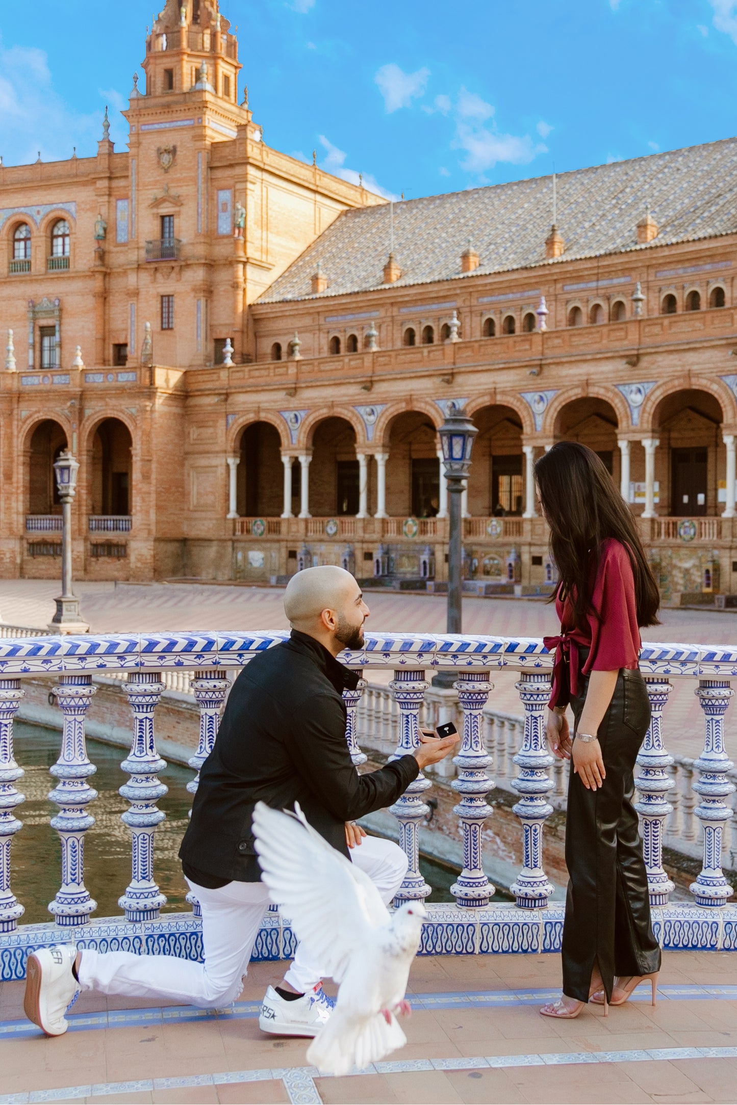 SURPRISE PROPOSAL PHOTO SESSION
