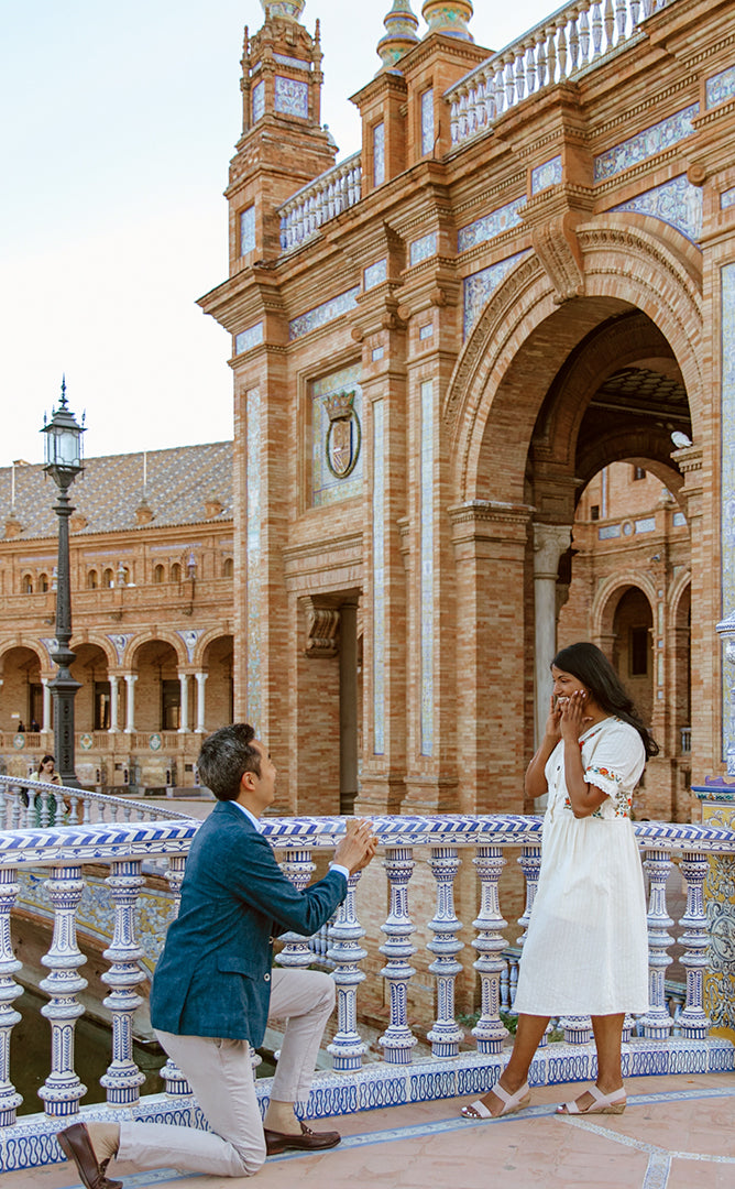 SURPRISE PROPOSAL PHOTO SESSION