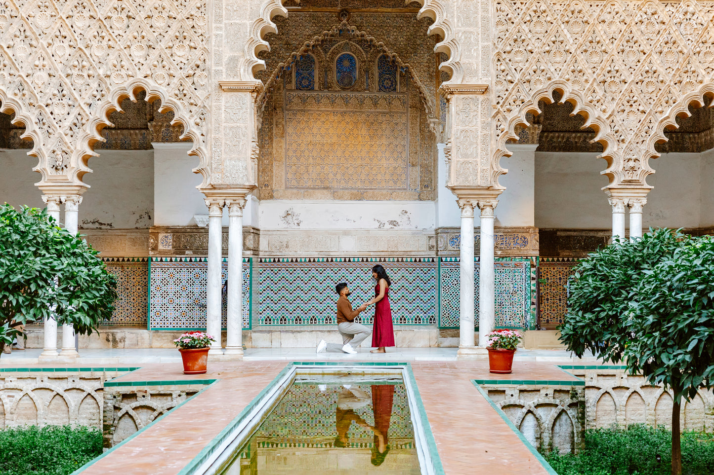 SURPRISE PROPOSAL PHOTO SESSION