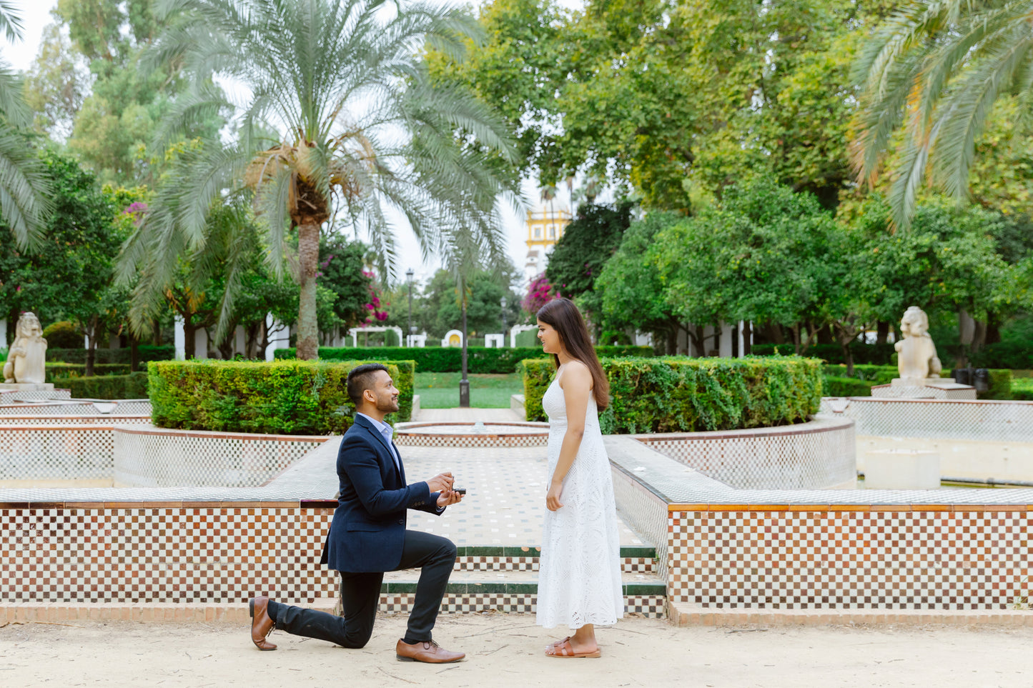SURPRISE PROPOSAL PHOTO SESSION