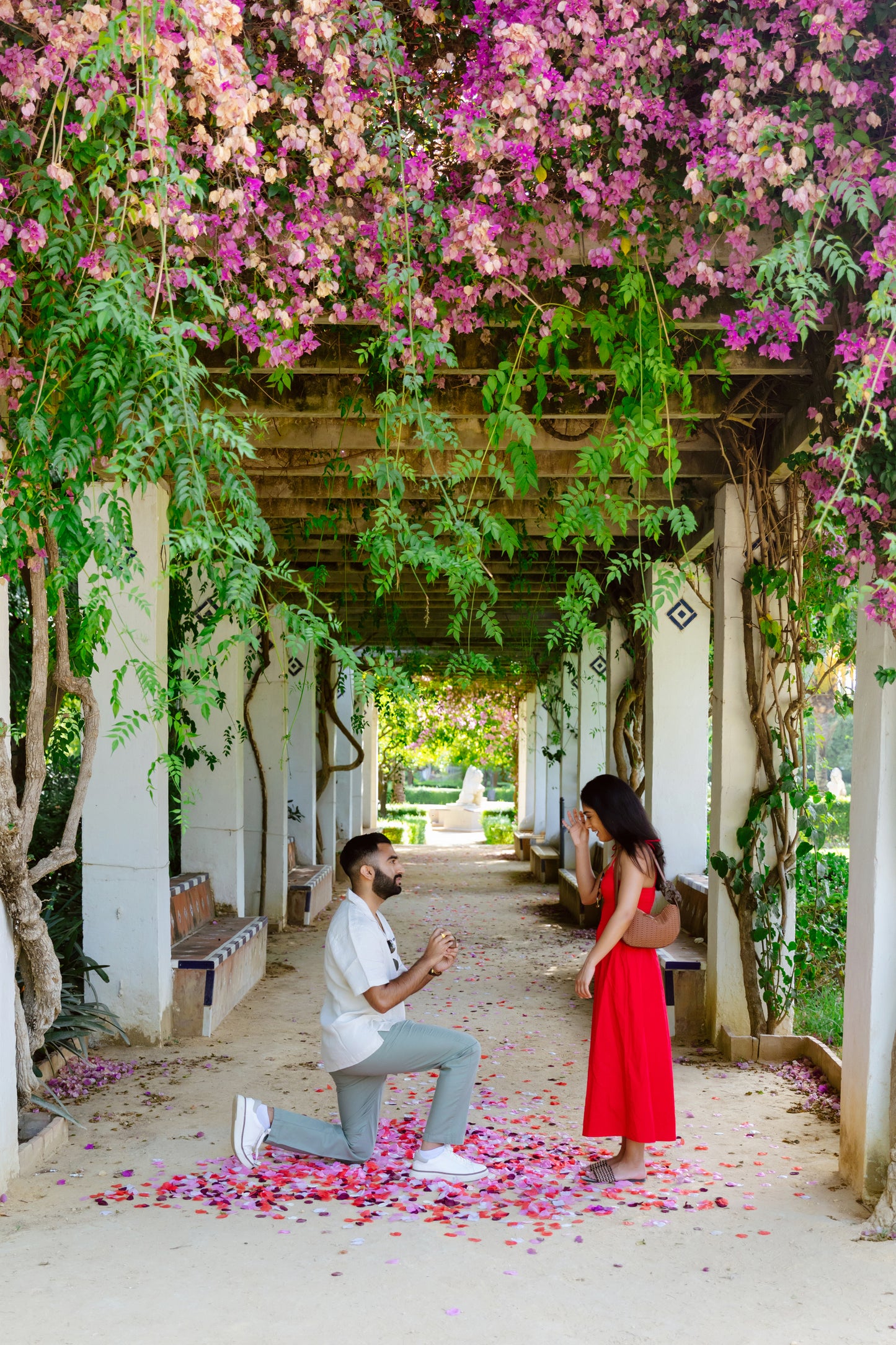 SURPRISE PROPOSAL PHOTO SESSION