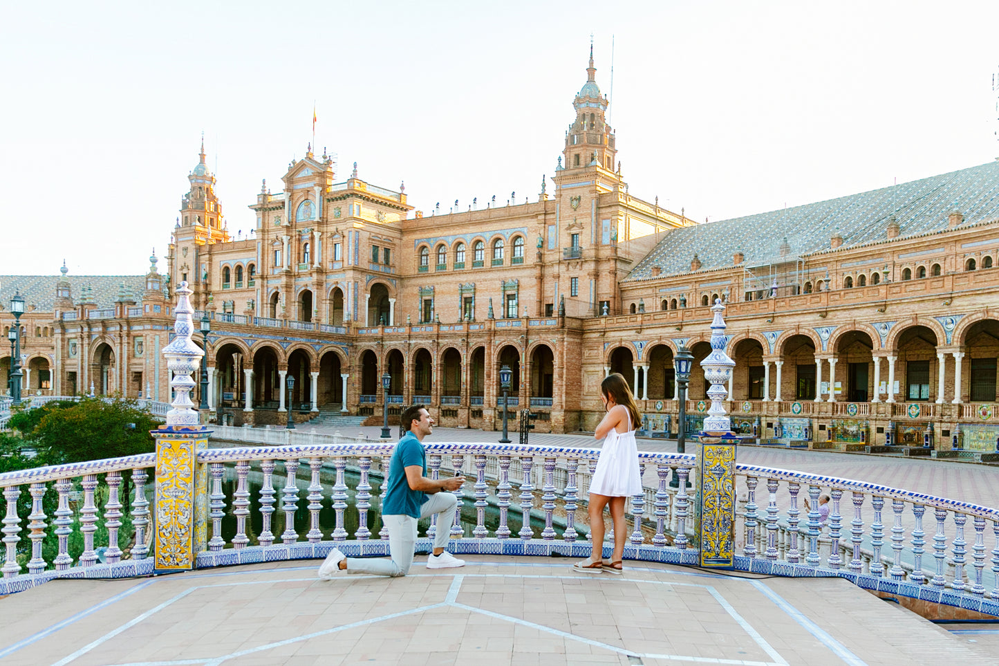 SURPRISE PROPOSAL PHOTO SESSION