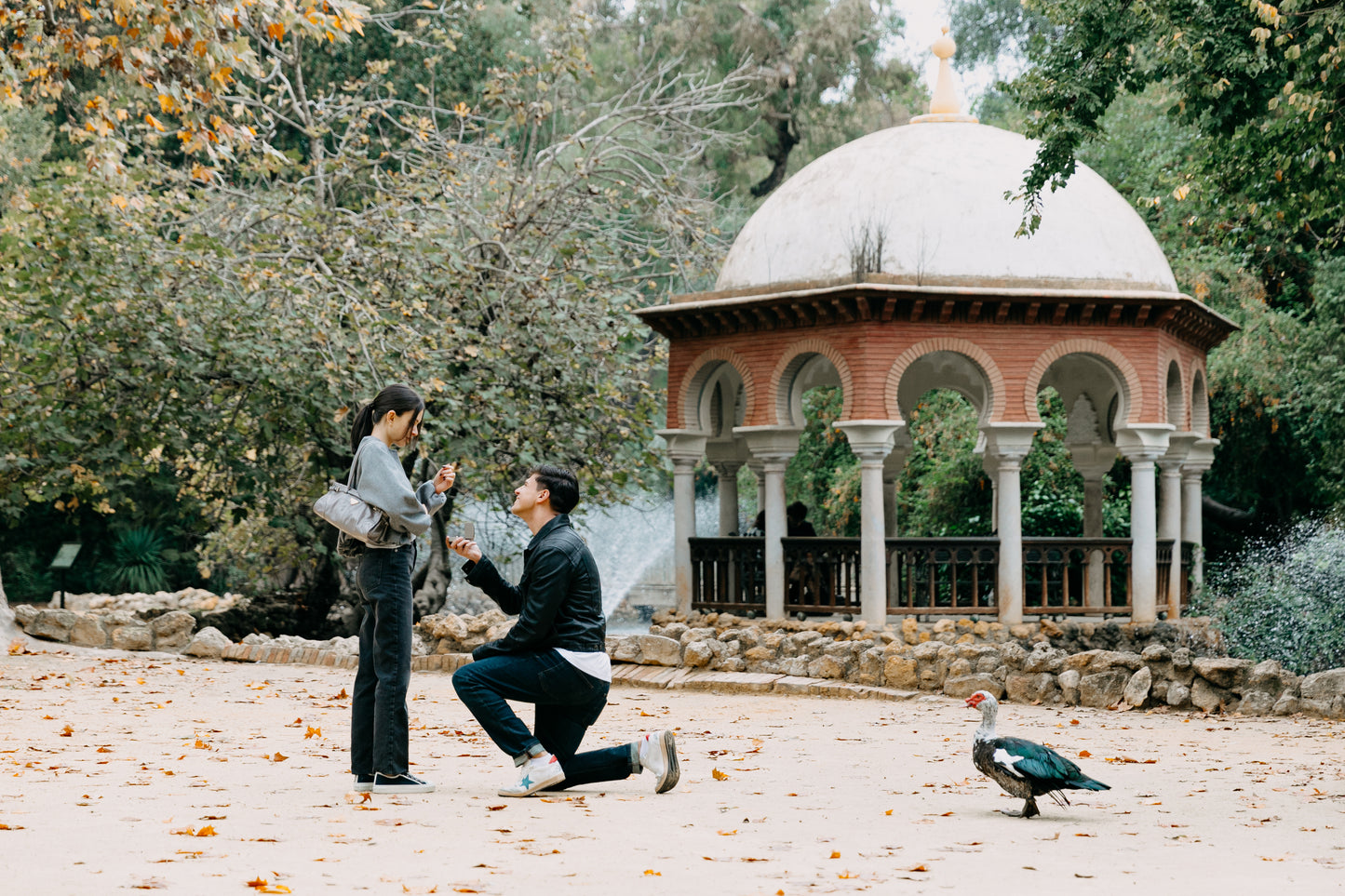 SURPRISE PROPOSAL PHOTO SESSION