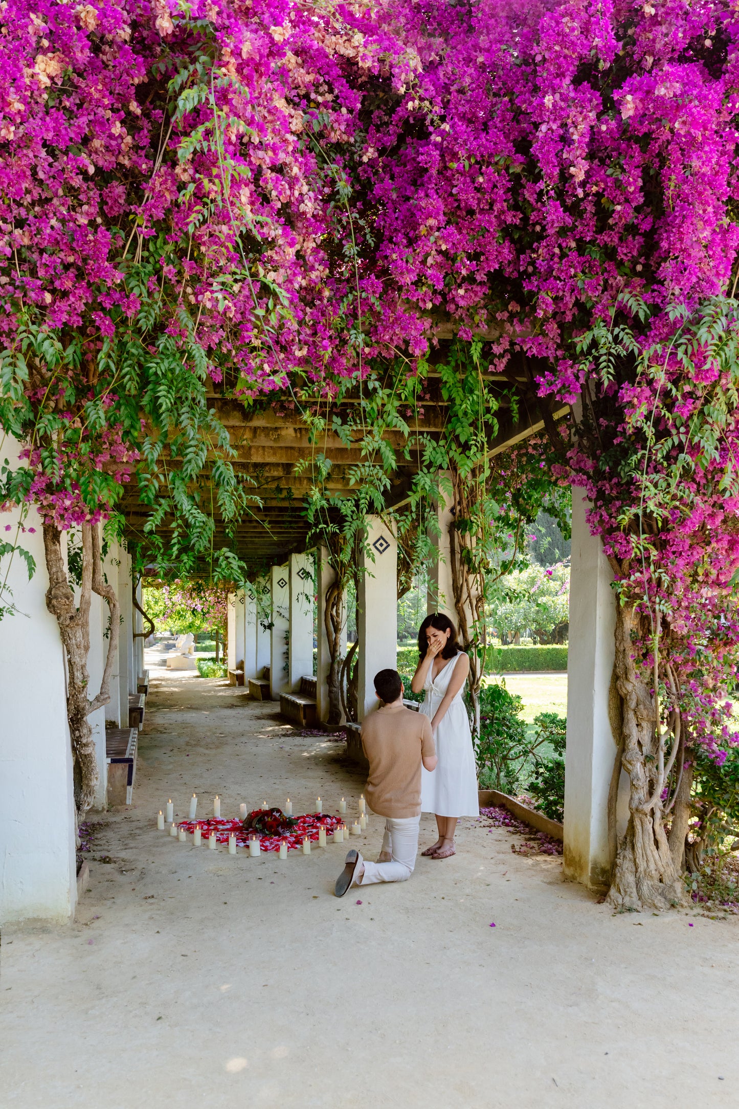 SURPRISE PROPOSAL PHOTO SESSION