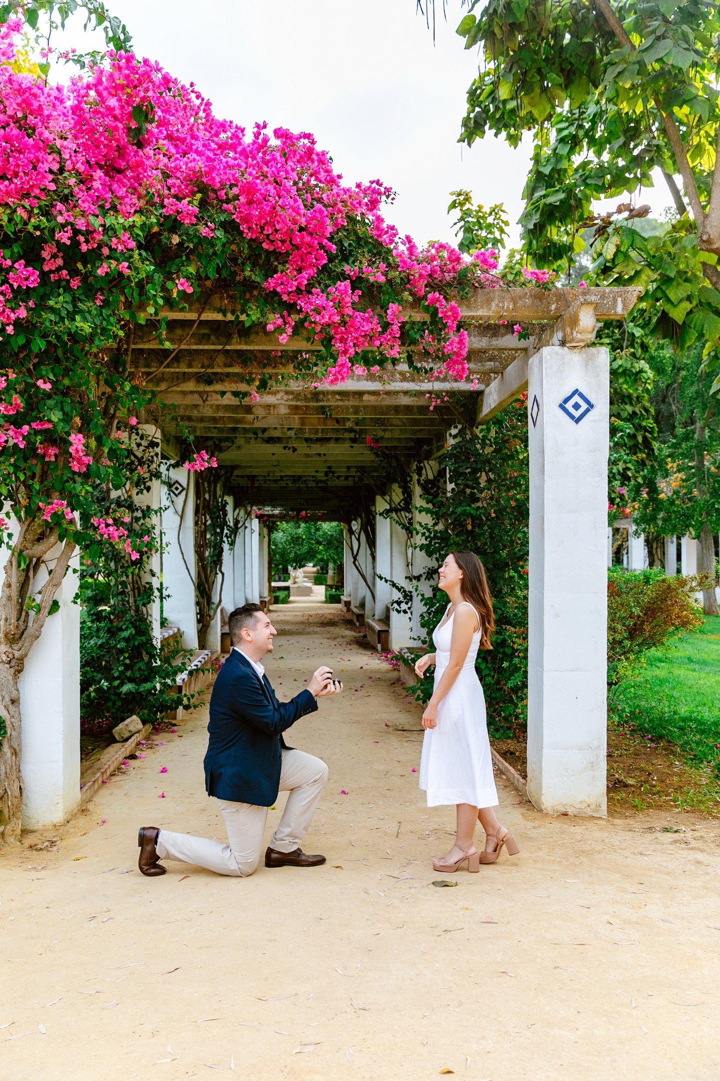SURPRISE PROPOSAL PHOTO SESSION