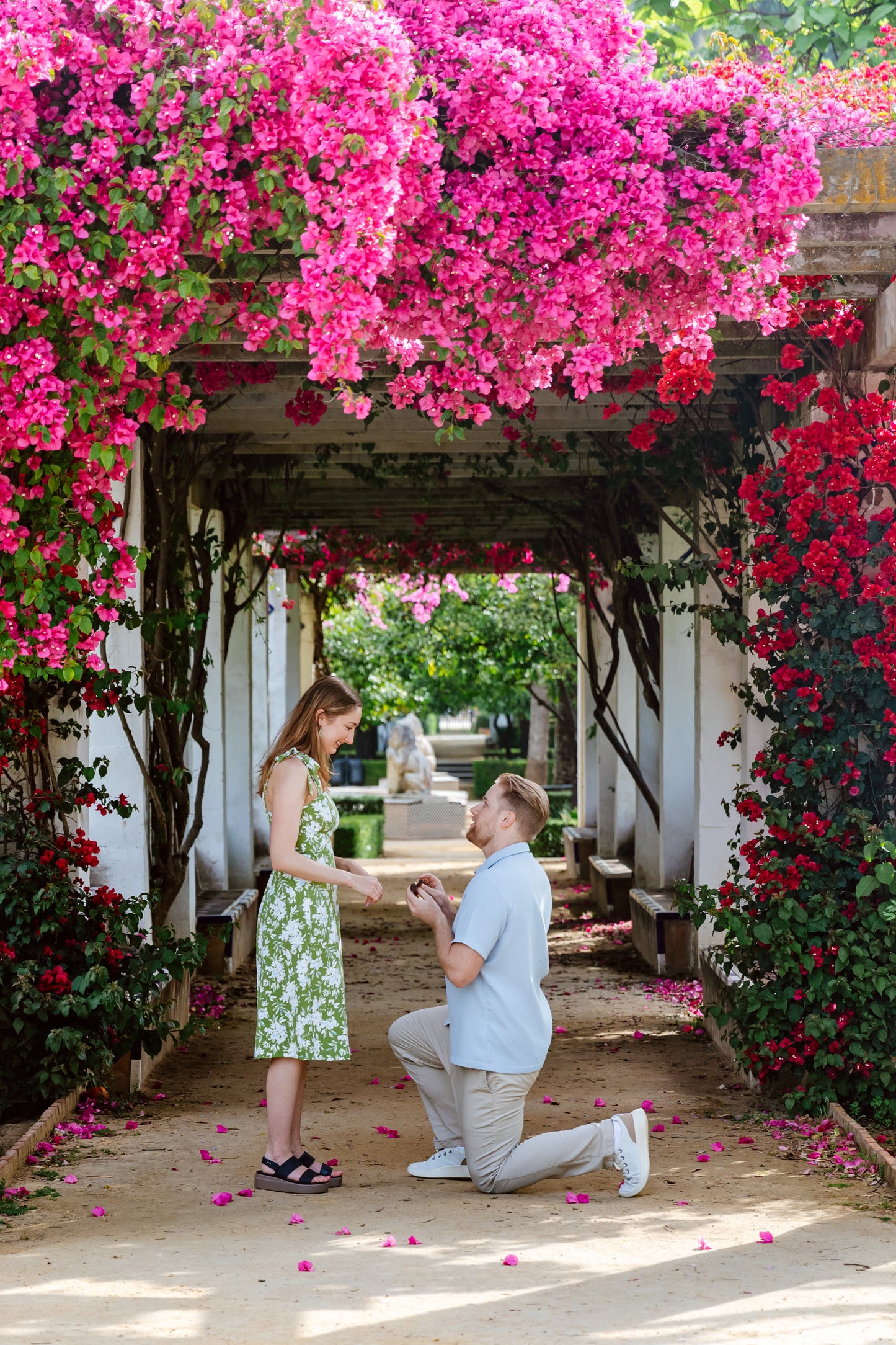 SURPRISE PROPOSAL PHOTO SESSION